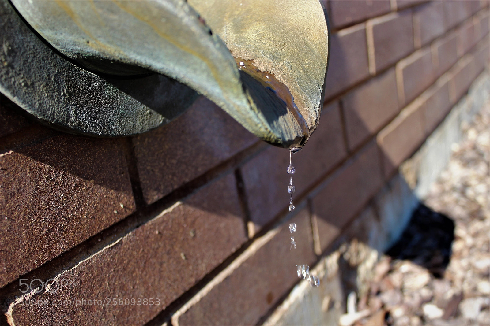 Canon EOS 1200D (EOS Rebel T5 / EOS Kiss X70 / EOS Hi) sample photo. Multi drop photography