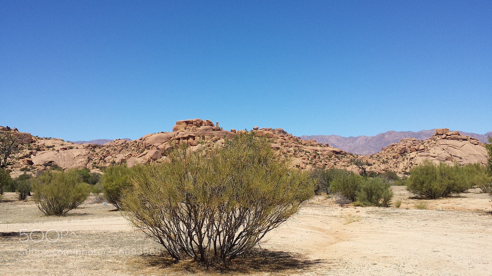 Samsung Galaxy S4 sample photo. Pure nature in tafraoute photography