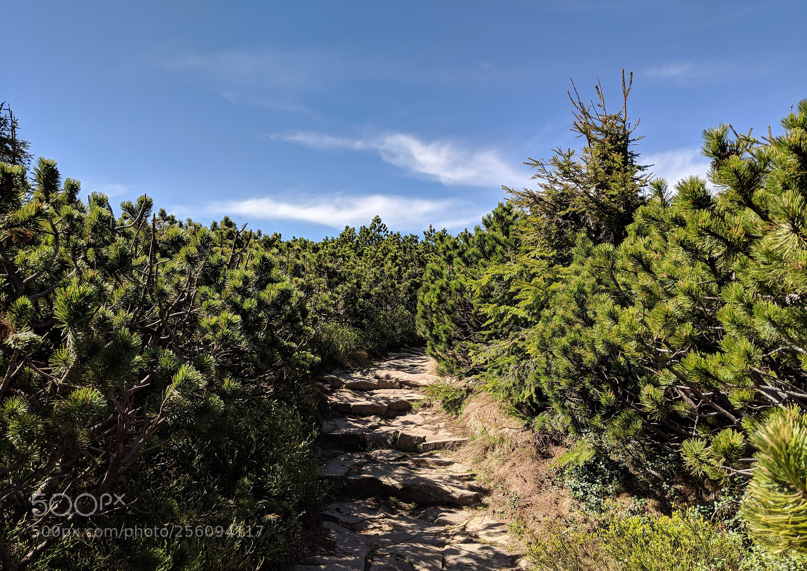 Google Pixel 2 XL sample photo. Untitled photography