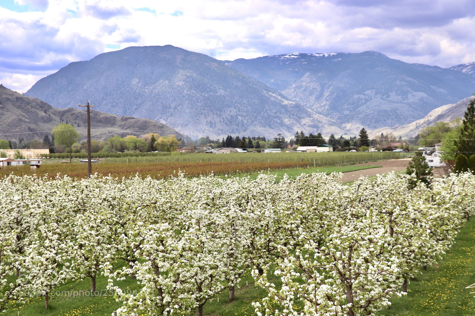 Canon EOS 800D (EOS Rebel T7i / EOS Kiss X9i) sample photo. Small town landscape  photography