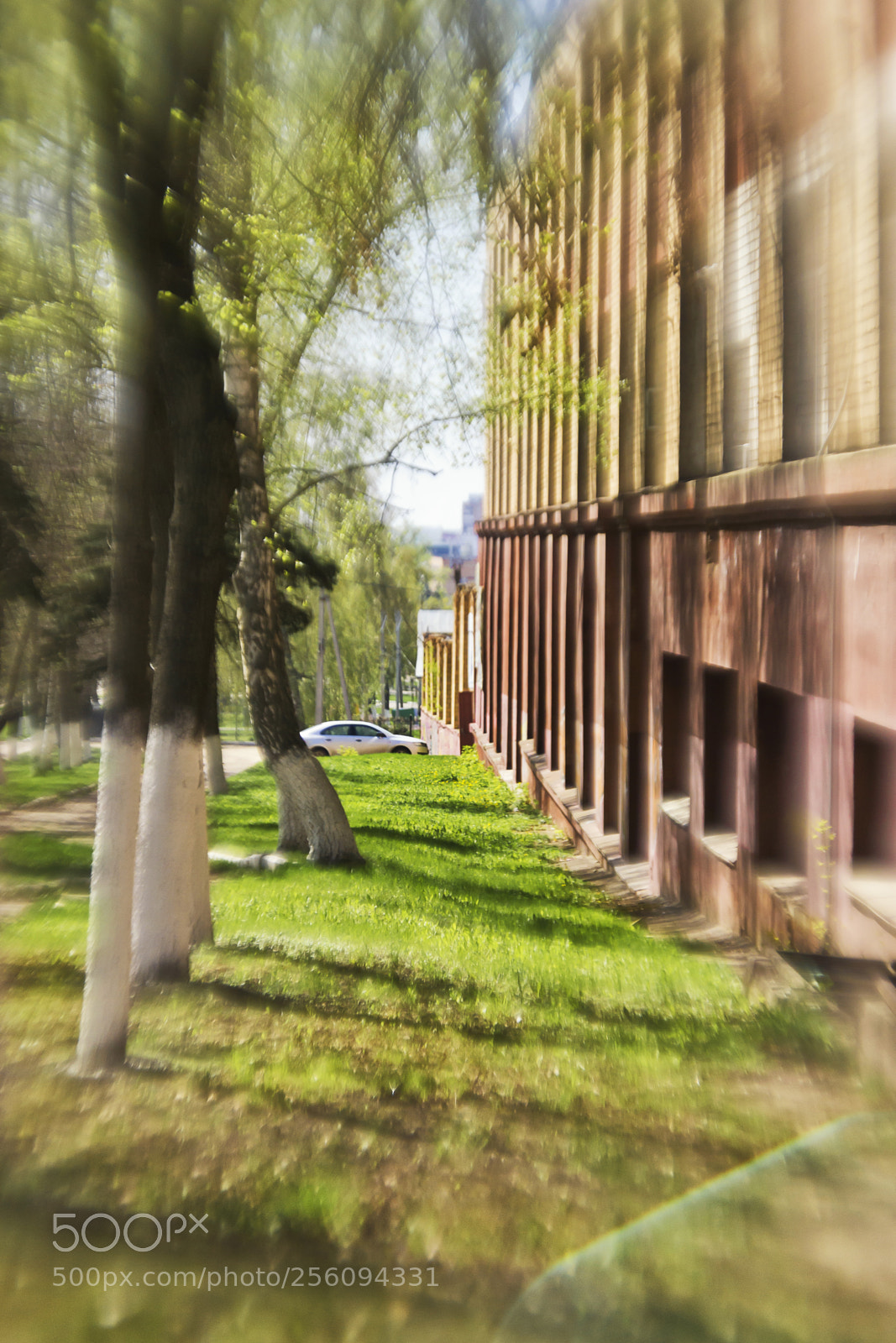 Nikon D3100 sample photo. Orel- may photography