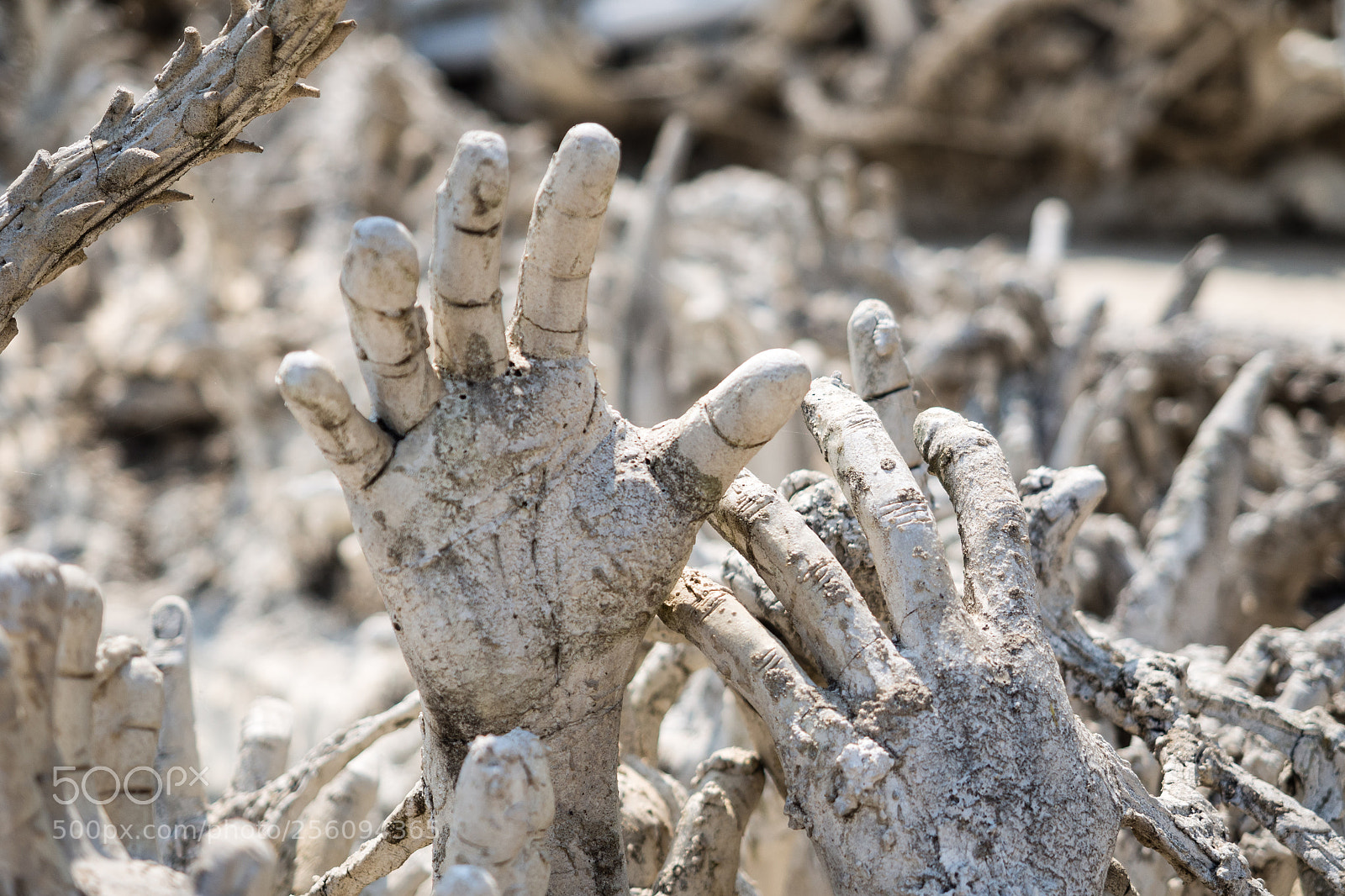Olympus OM-D E-M5 sample photo. White temple, chiang rai photography