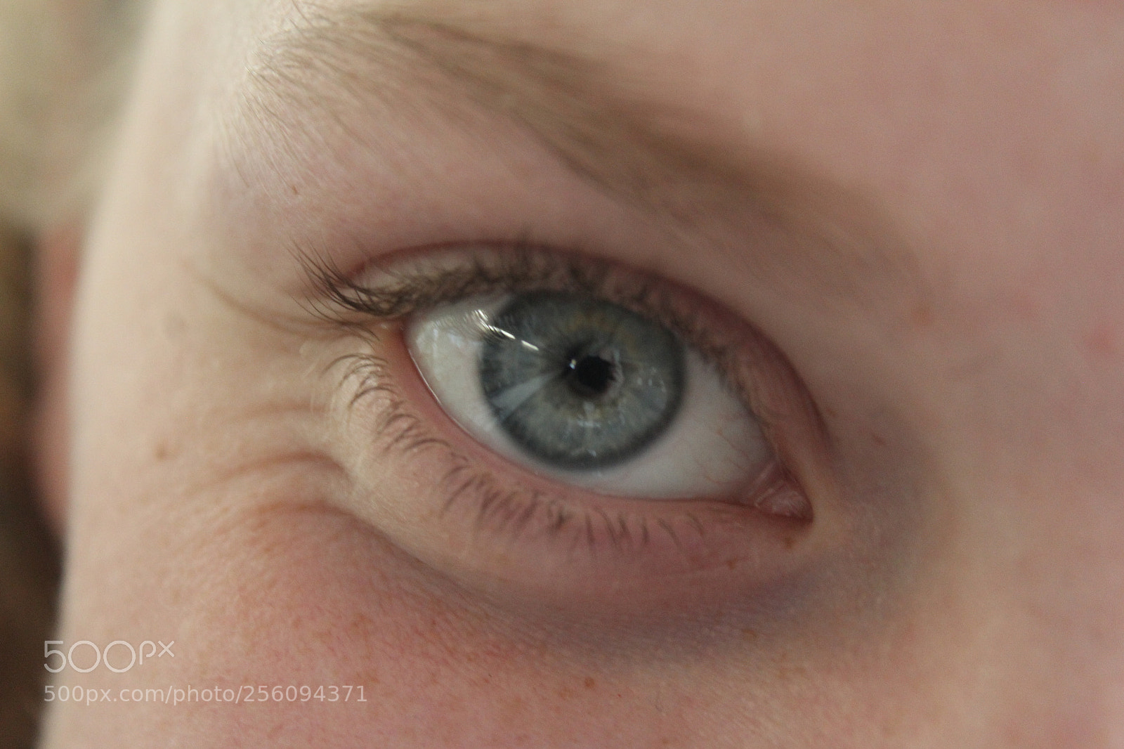 Canon EOS 1200D (EOS Rebel T5 / EOS Kiss X70 / EOS Hi) sample photo. Eyeball photography