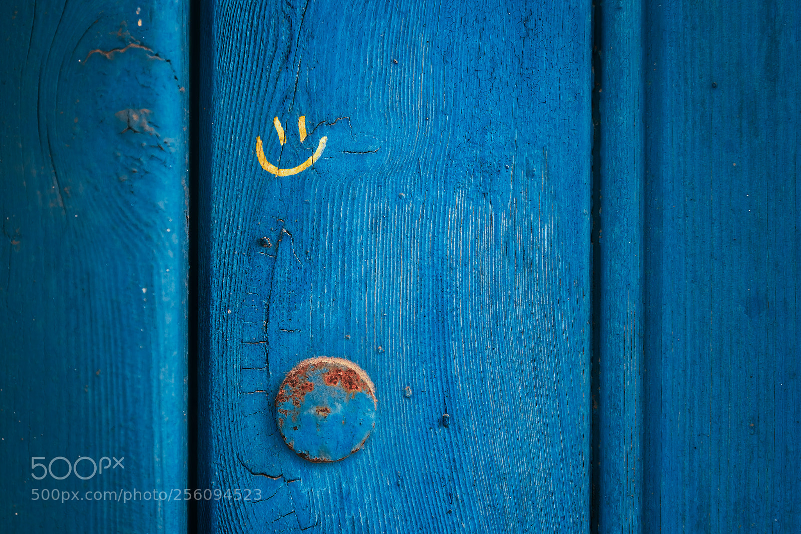Nikon D750 sample photo. Tan feliz - so photography