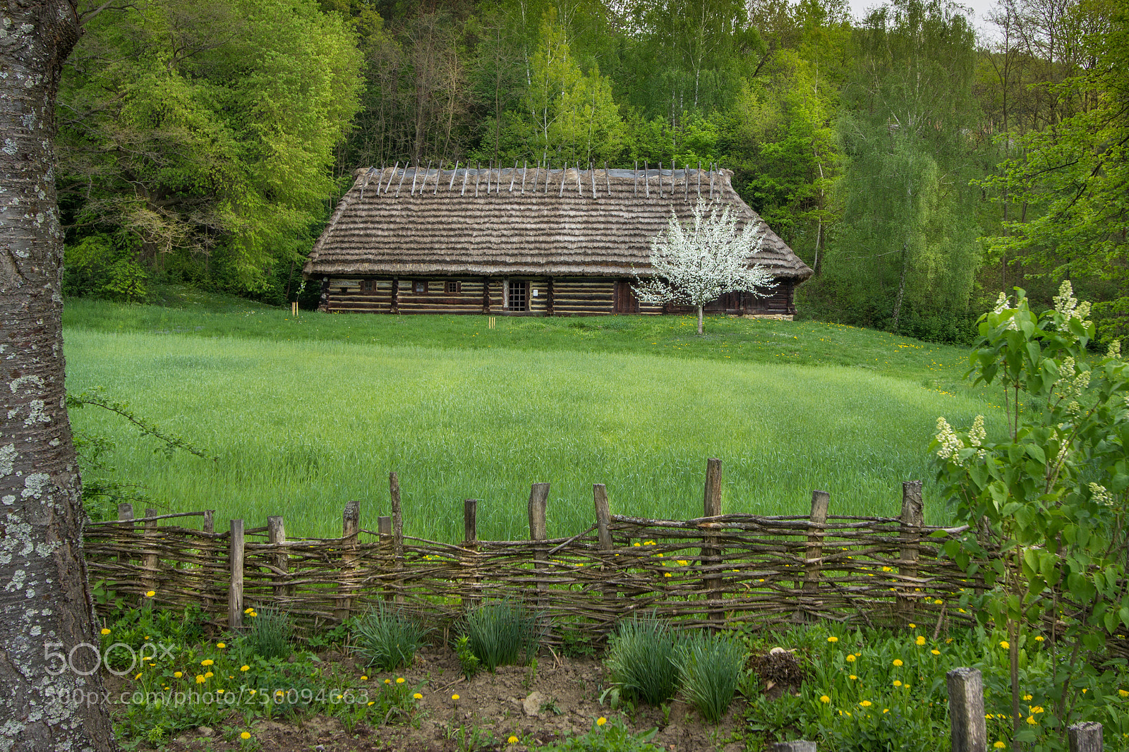 Canon EOS 600D (Rebel EOS T3i / EOS Kiss X5) sample photo. Skansen sanok iii photography