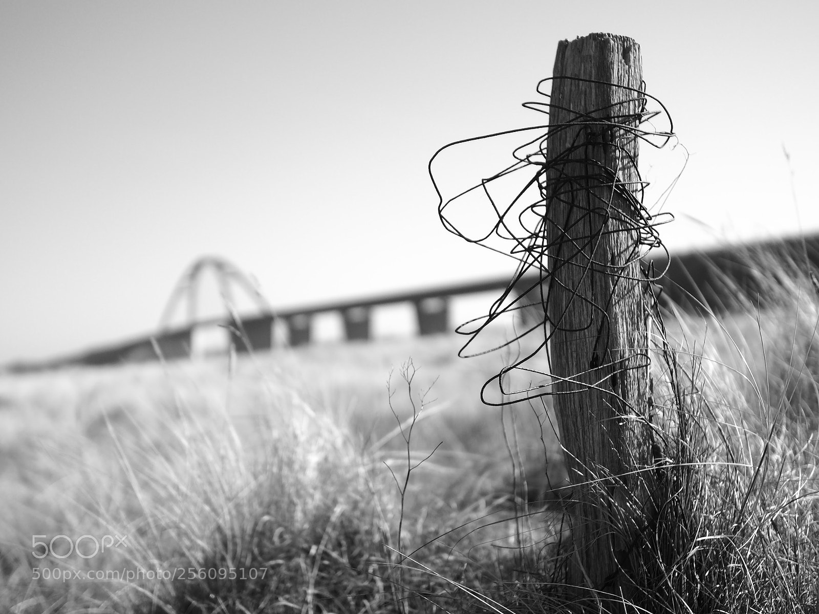 Olympus OM-D E-M10 II sample photo. Brücke photography