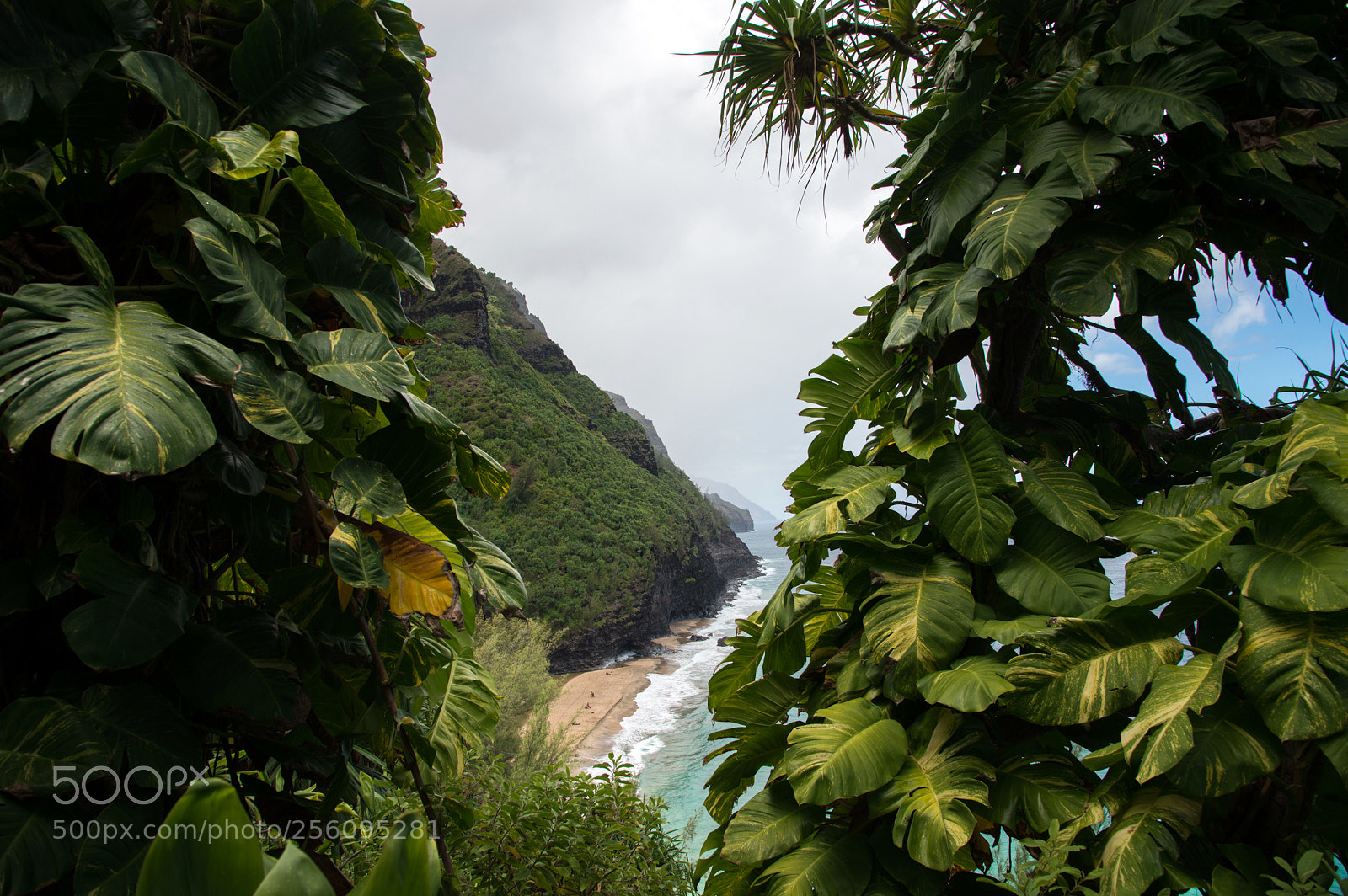Nikon D800 sample photo. Napali coast lookout photography