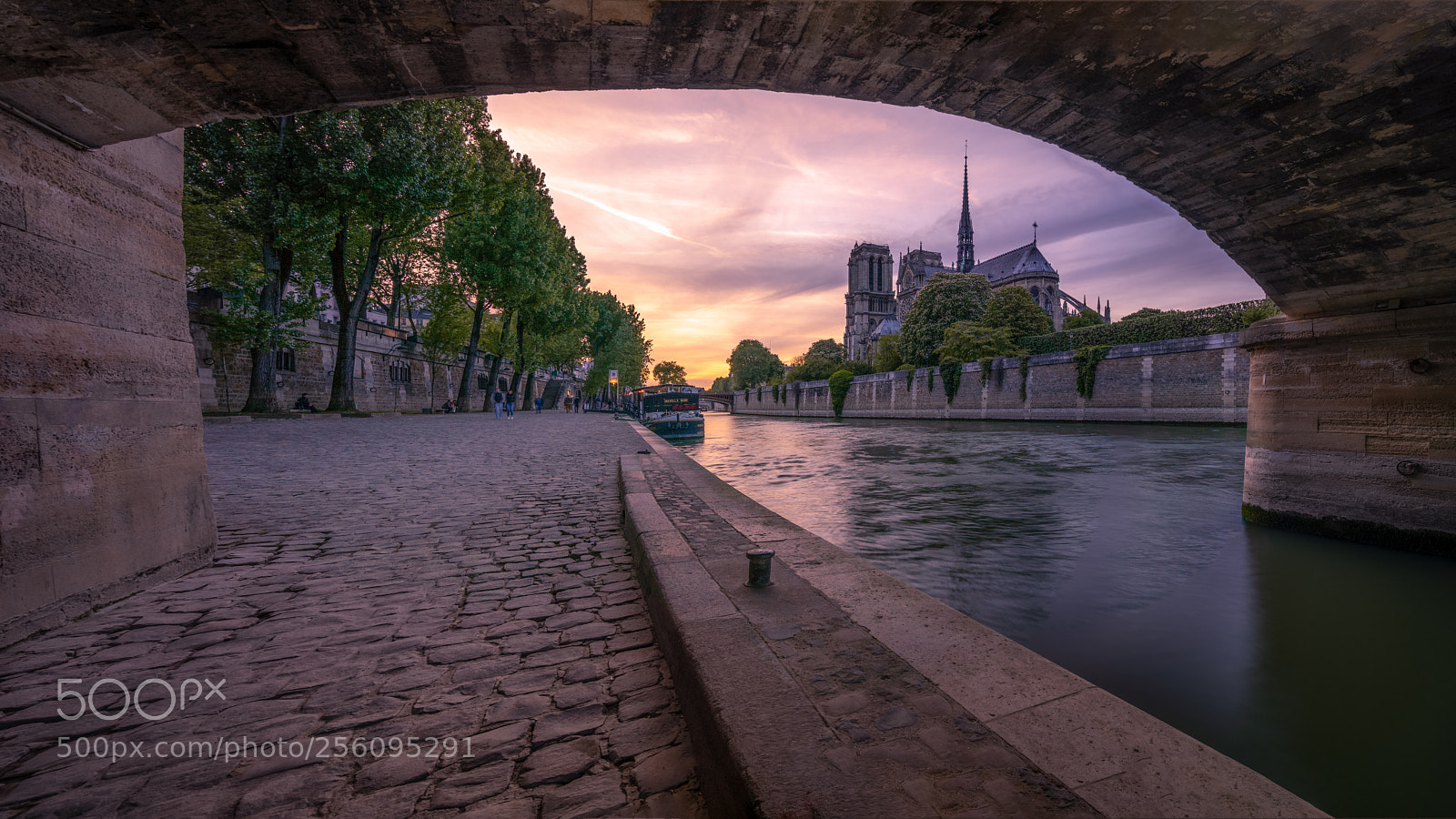 Sony a7R II sample photo. Notre dame in paris photography