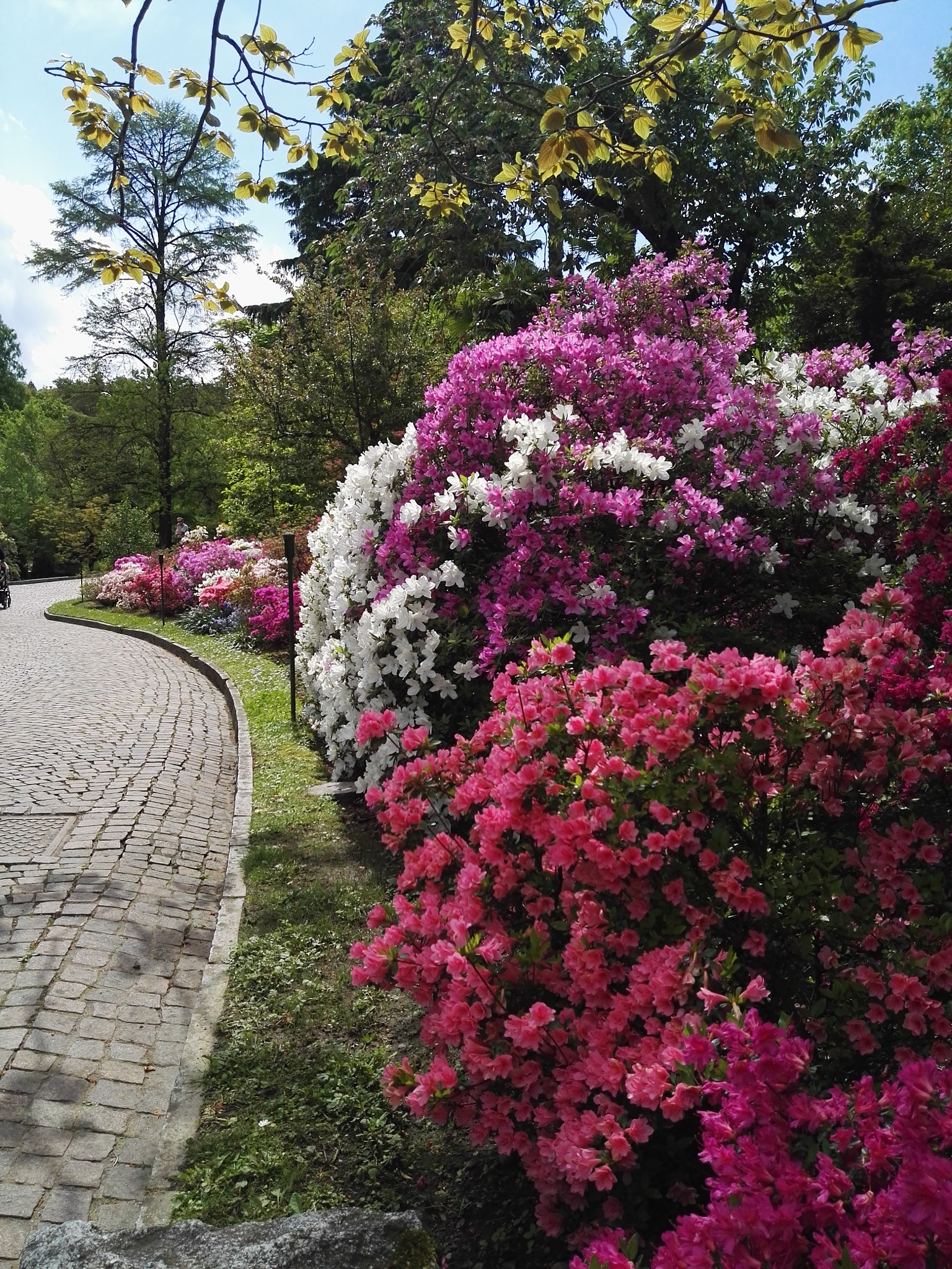 HUAWEI P8 sample photo. Villa taranto garden  lago maggiore photography