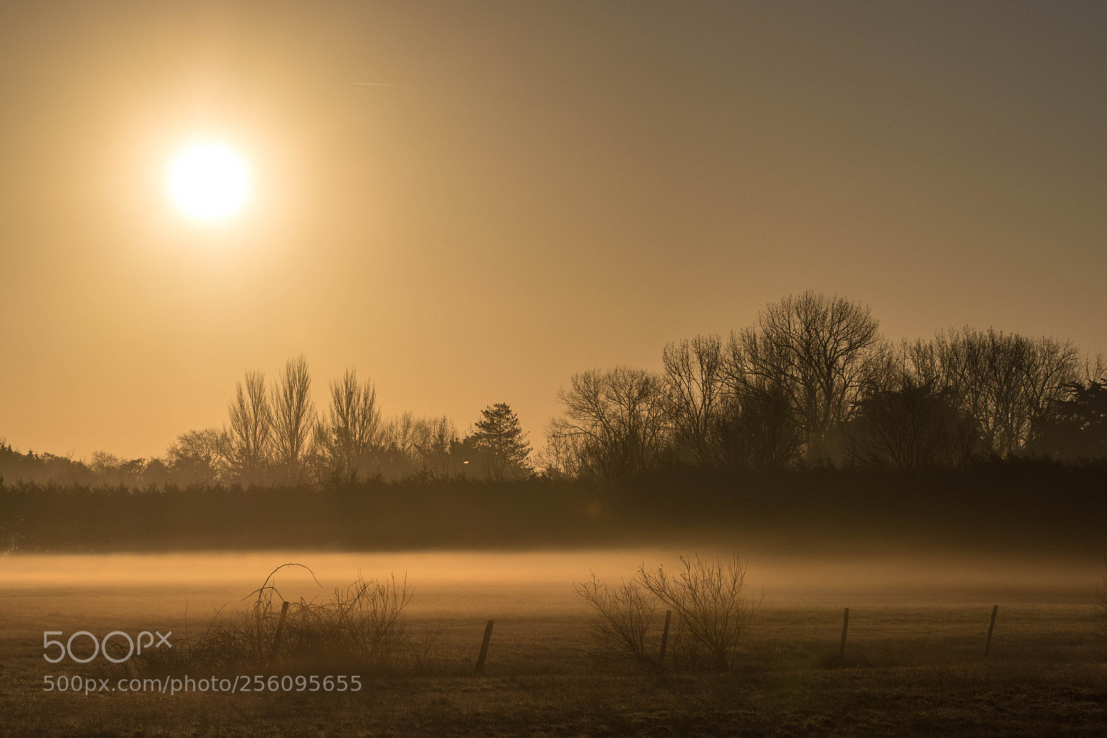 Canon EOS 7D Mark II sample photo. R veil dans le photography
