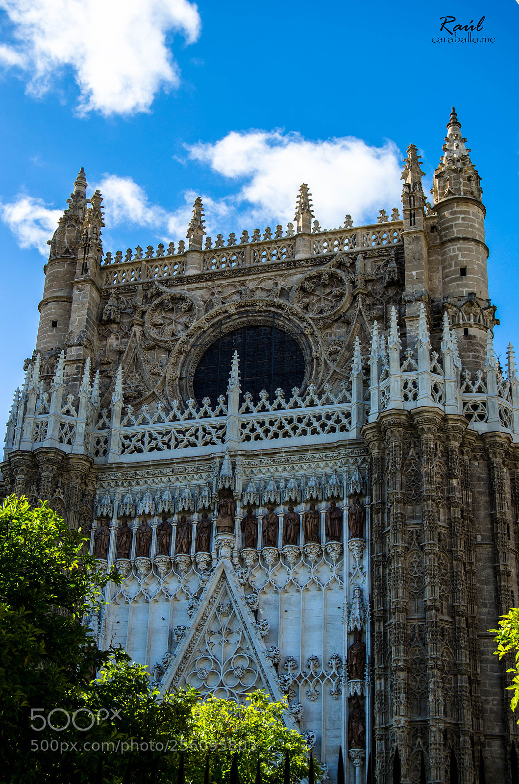 Nikon D5100 sample photo. Catedral photography