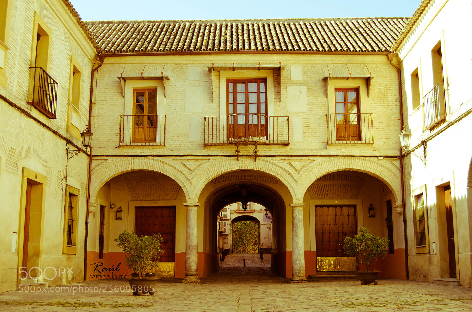 Nikon D5100 sample photo. Sevilla photography