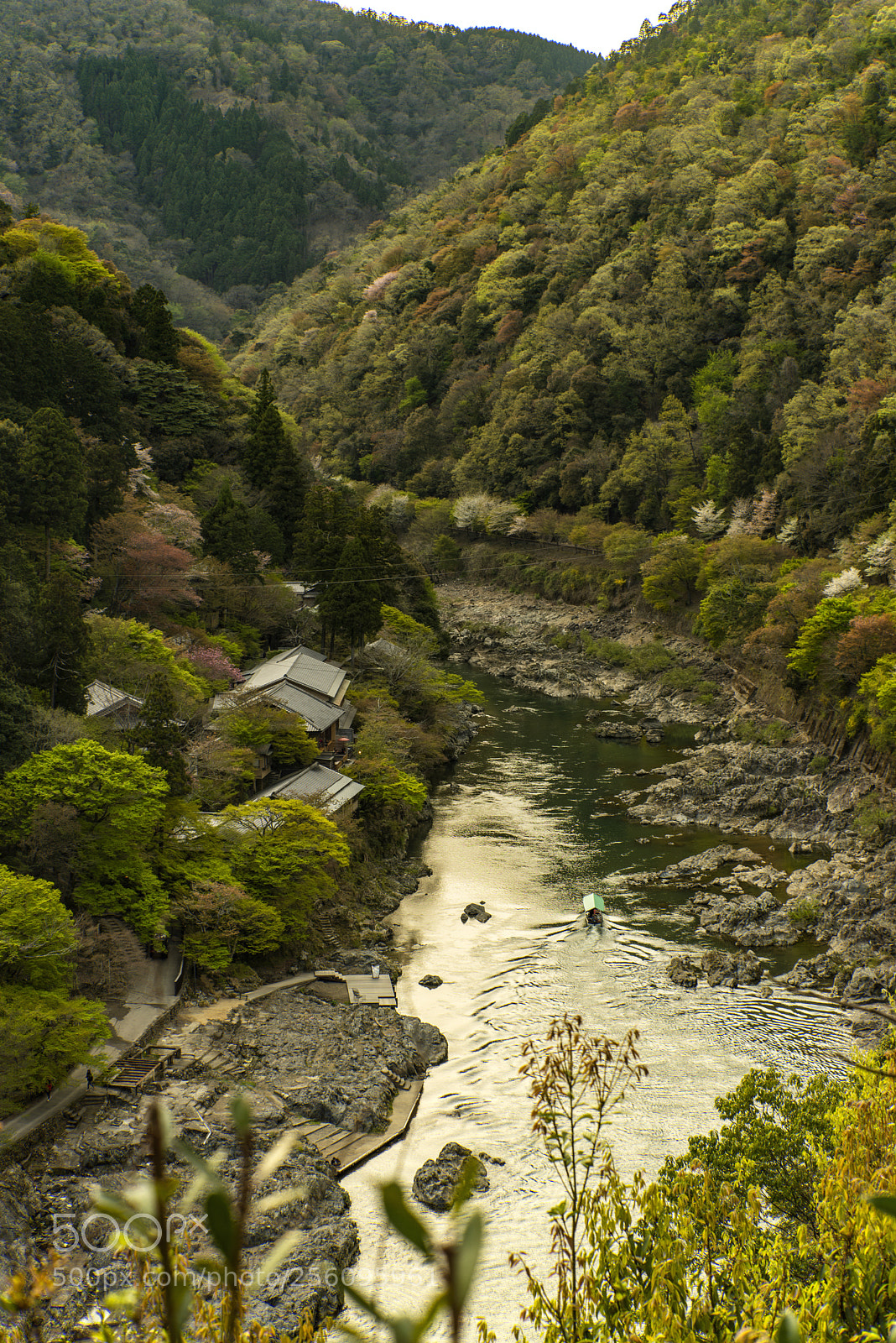 Nikon D750 sample photo. Following the river photography