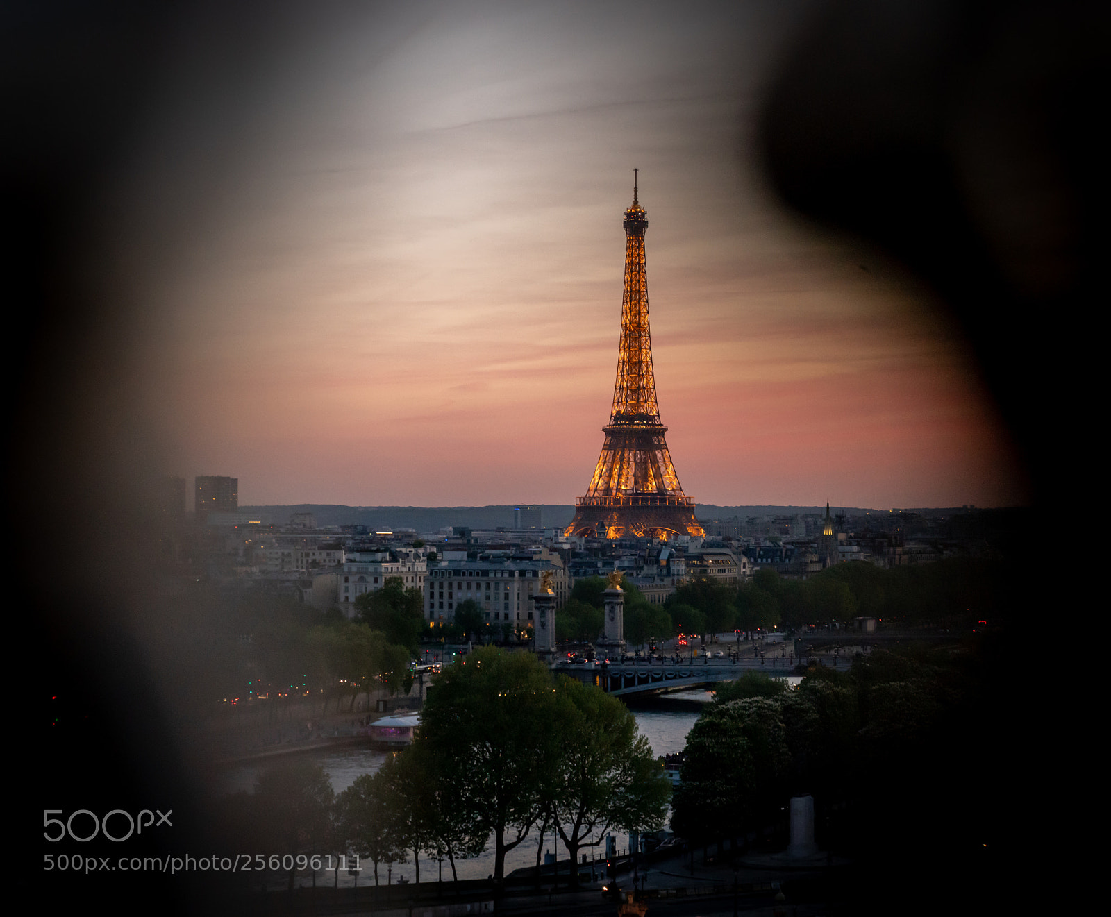 Sony a7R II sample photo. Untitled photography