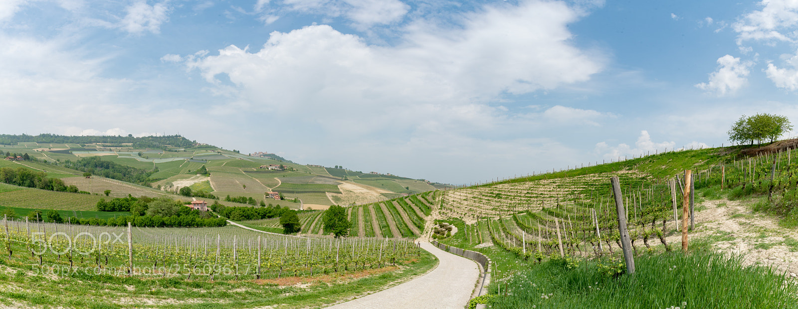 Nikon D750 sample photo. Langhe landscape photography