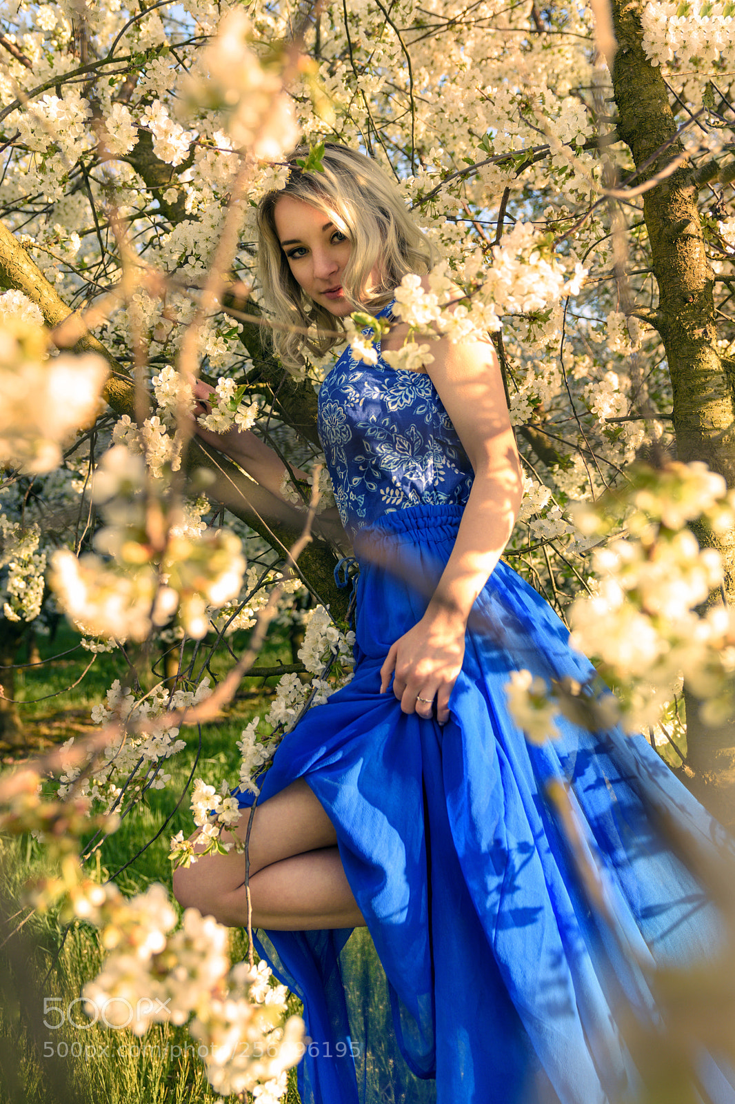 Nikon D7200 sample photo. Kinia - 5 photography