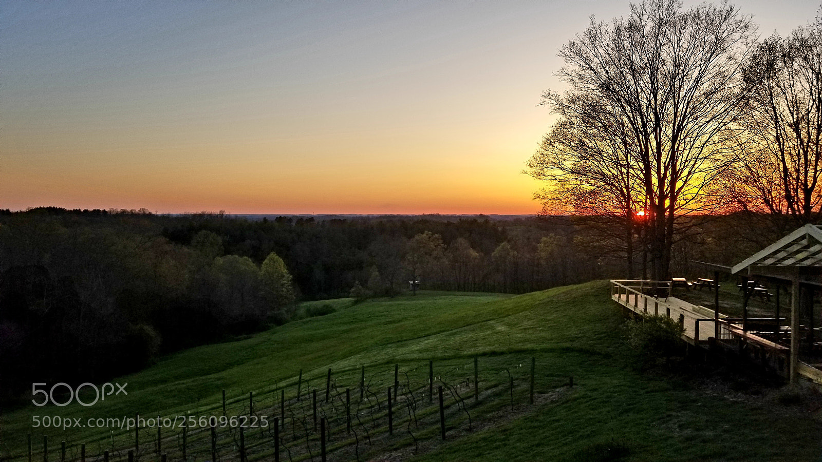 Samsung Galaxy S8 sample photo. Pleasant hill winery photography
