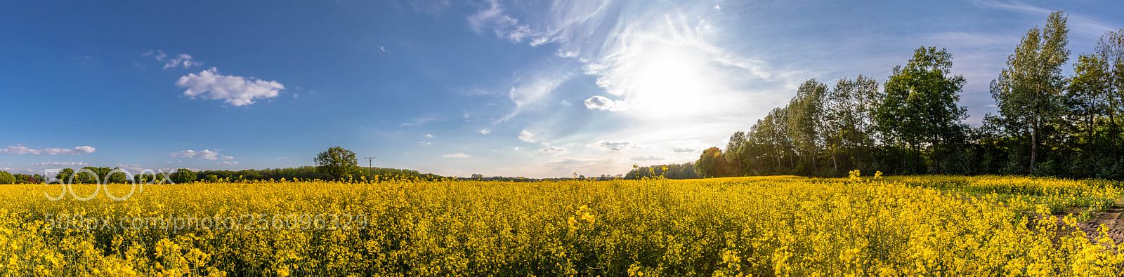 Canon EOS 6D Mark II sample photo. Rapsfeld panorama photography