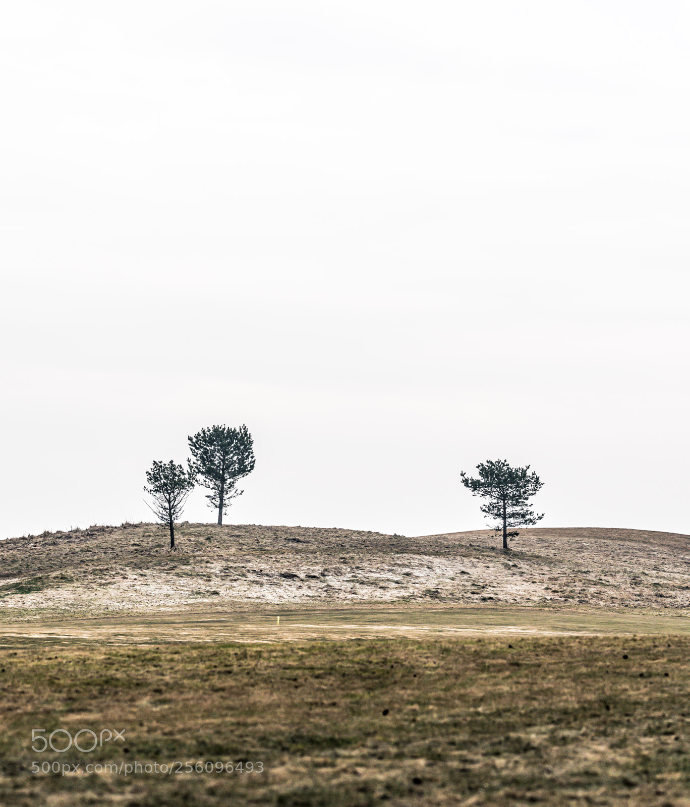 Sony a7R III sample photo. Three loners on a photography