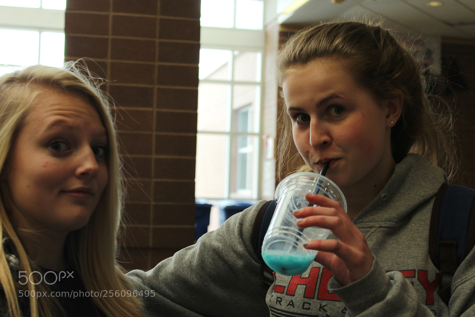 Canon EOS 1200D (EOS Rebel T5 / EOS Kiss X70 / EOS Hi) sample photo. Abby and chowder photography