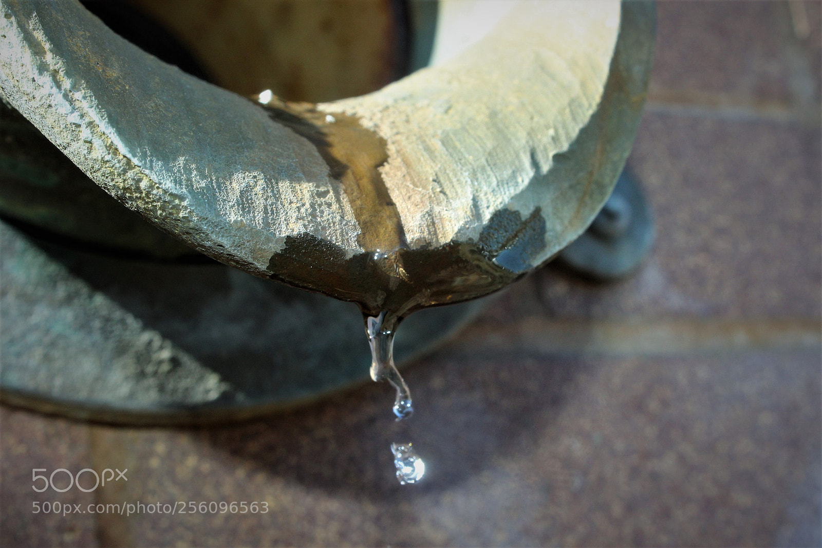 Canon EOS 1200D (EOS Rebel T5 / EOS Kiss X70 / EOS Hi) sample photo. Water photography