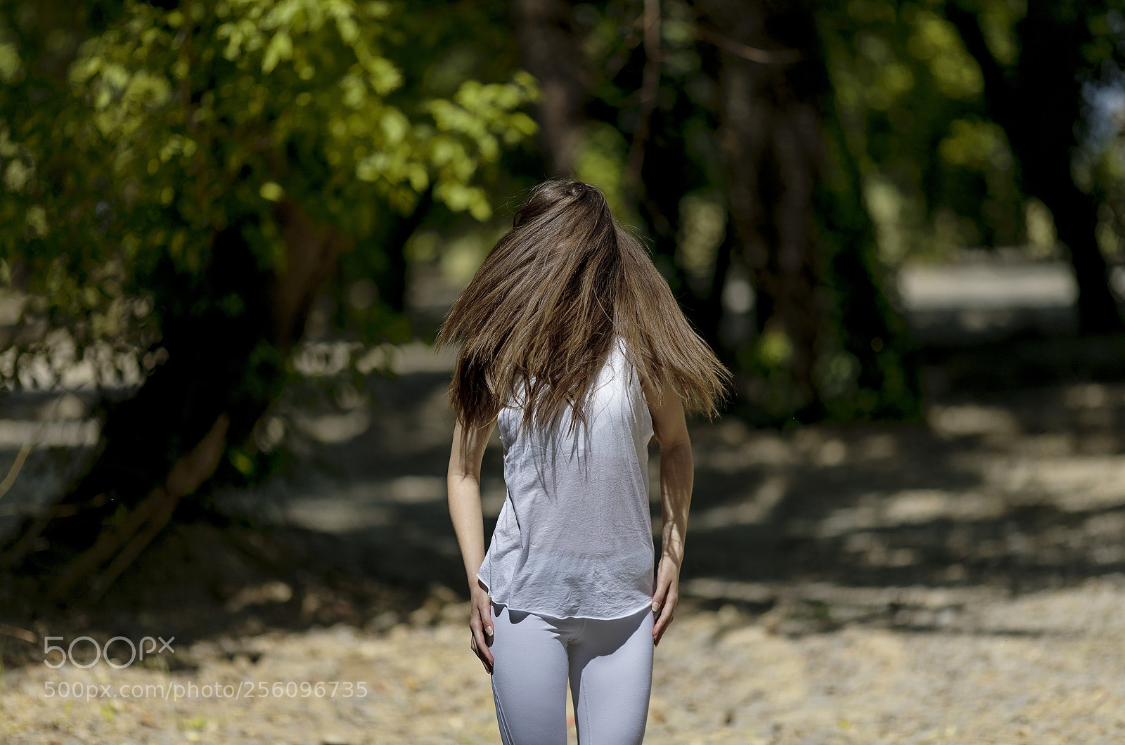 Canon EOS 5D Mark IV sample photo. Forest portrait 2 photography
