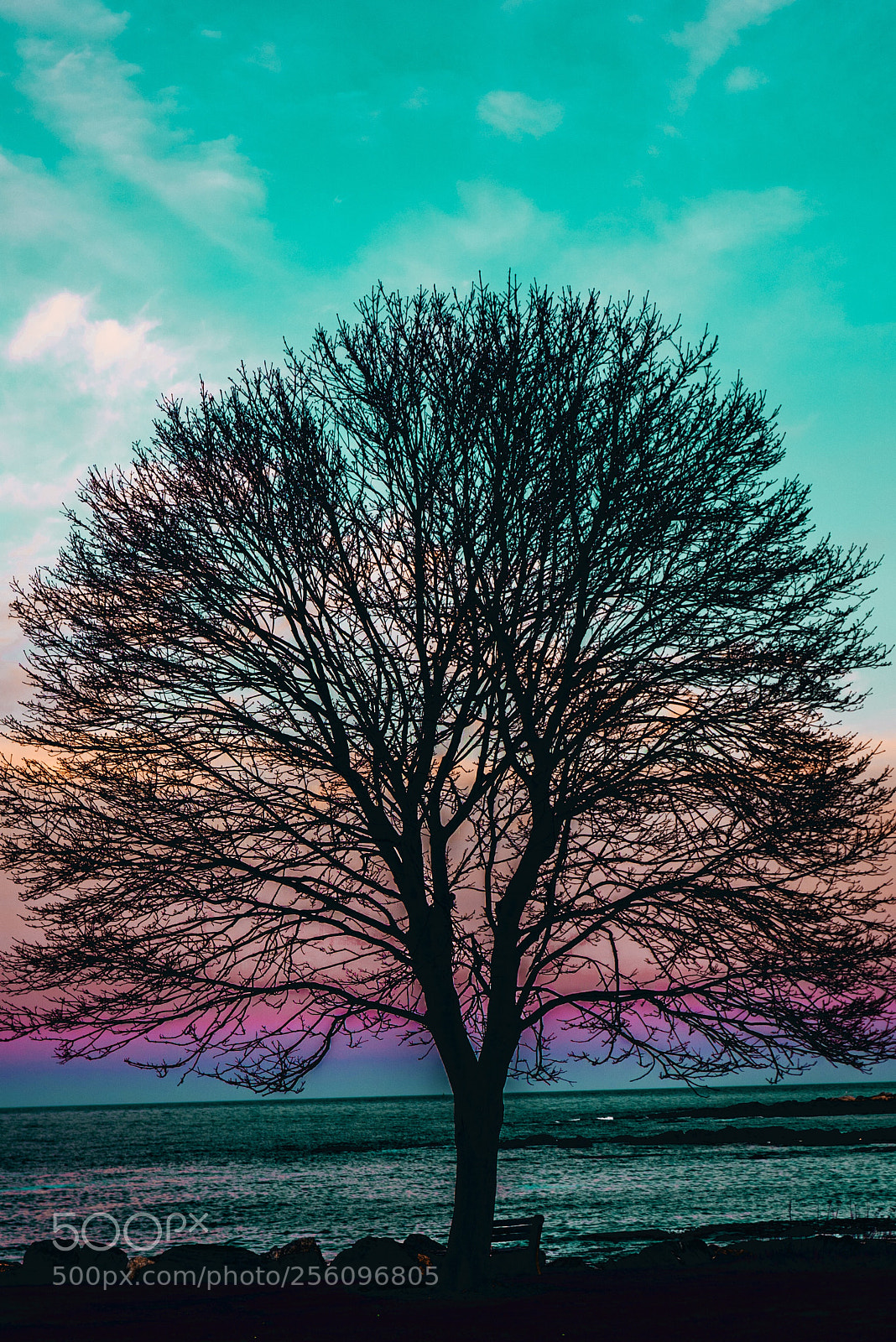 Sony a7R III sample photo. Sherbet skies  photography
