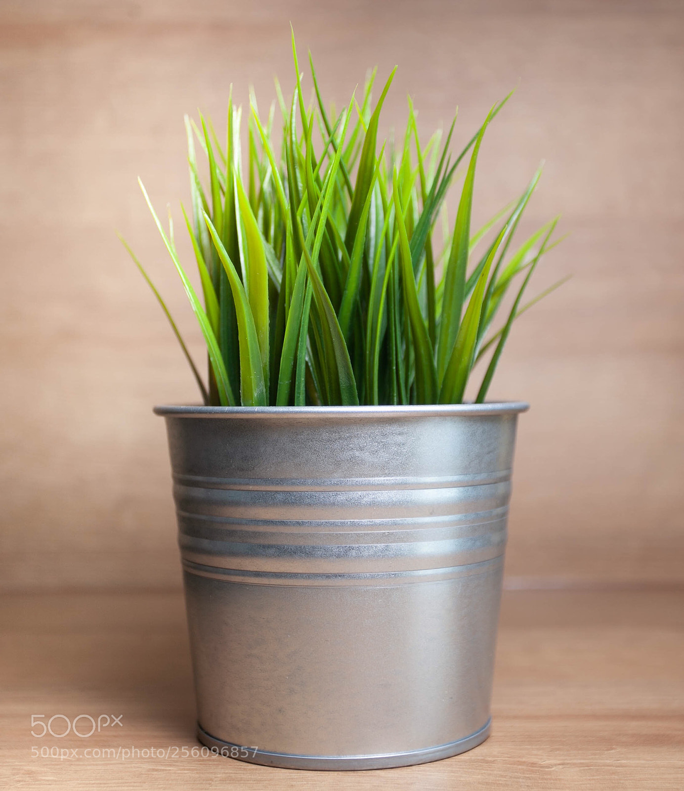Canon EOS 5D Mark II sample photo. Spring photography