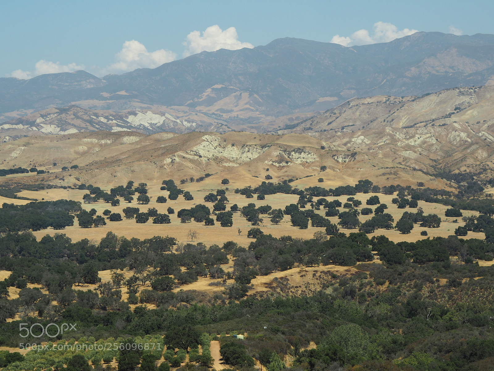 Olympus PEN E-PL7 sample photo. California photography