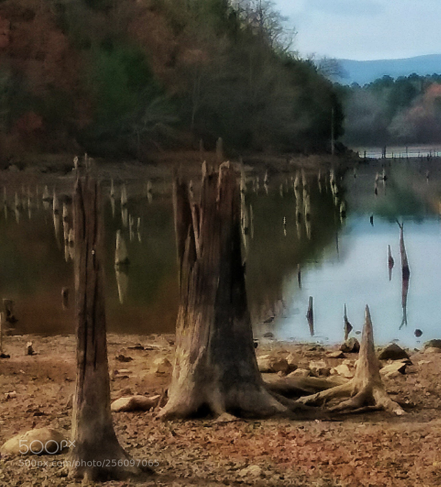 Samsung Galaxy J3(2016) sample photo. Skeletons photography