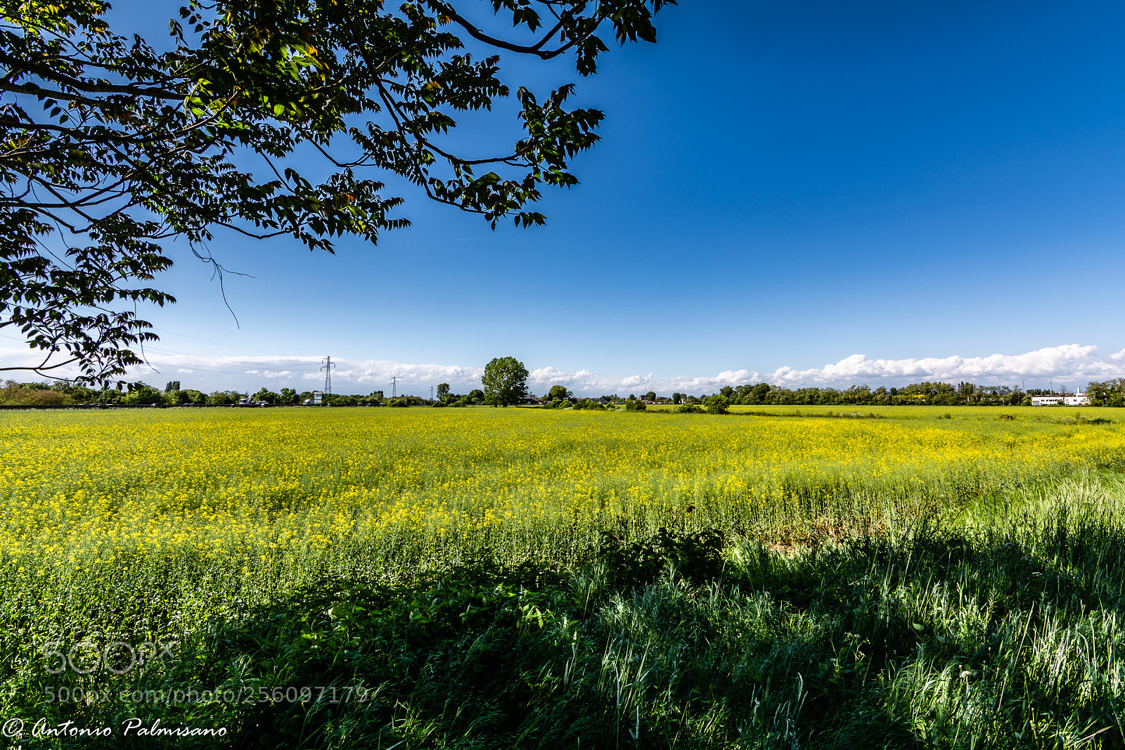 Nikon D7100 sample photo. Untitled photography
