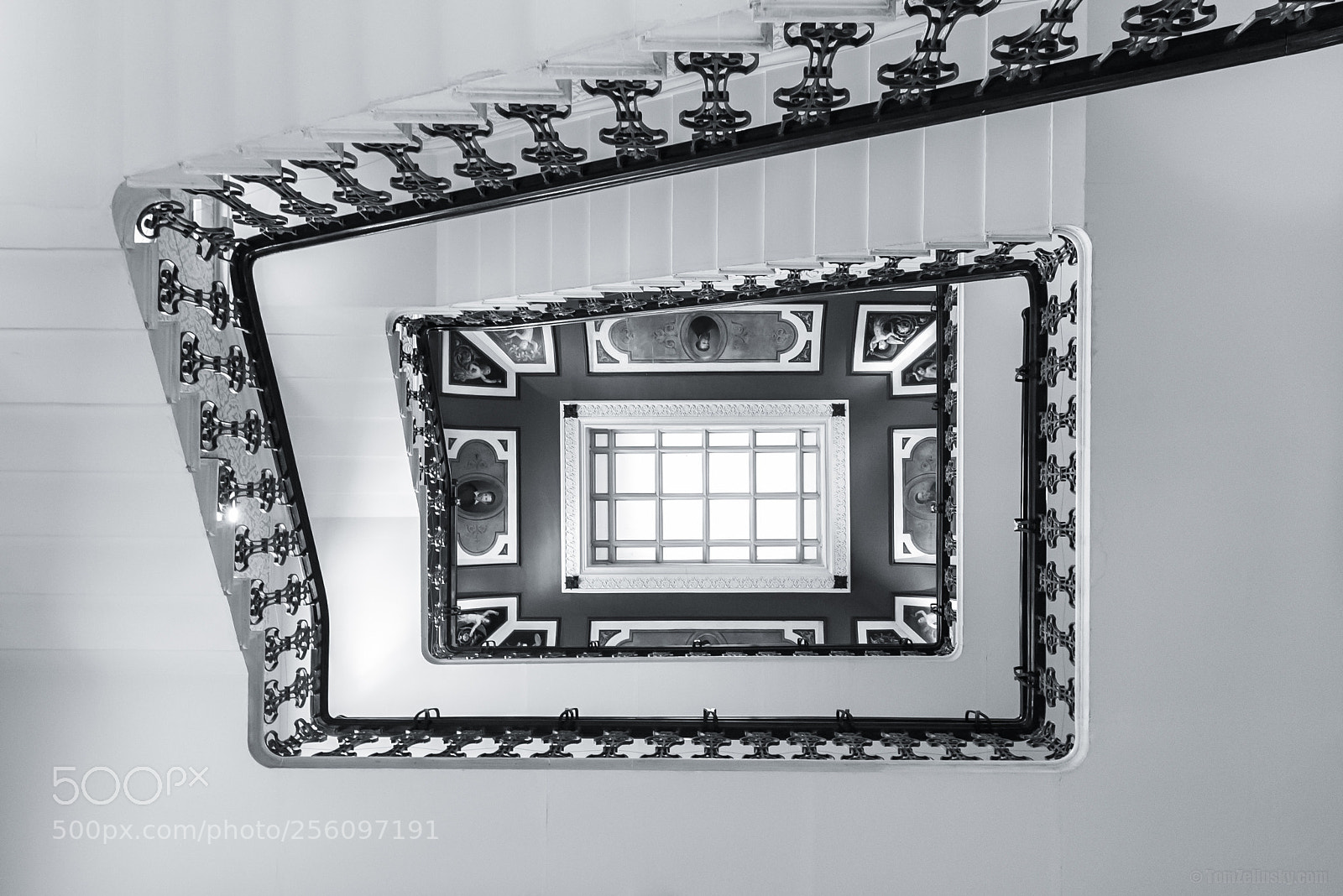 Nikon D610 sample photo. Bnw photography