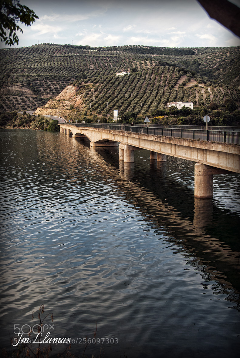Nikon D80 sample photo. Puente photography