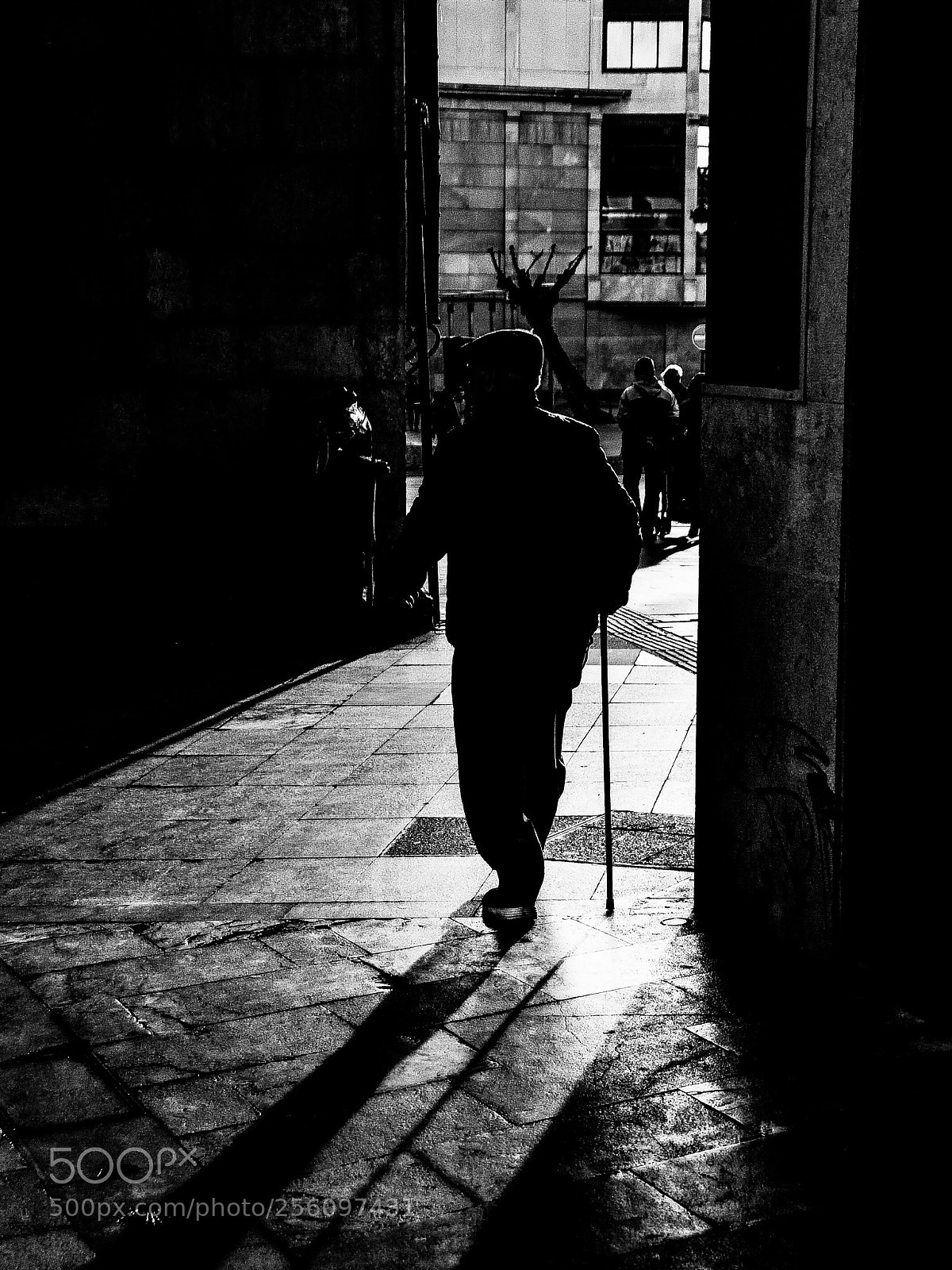 Nikon D500 sample photo. Al atardecer photography