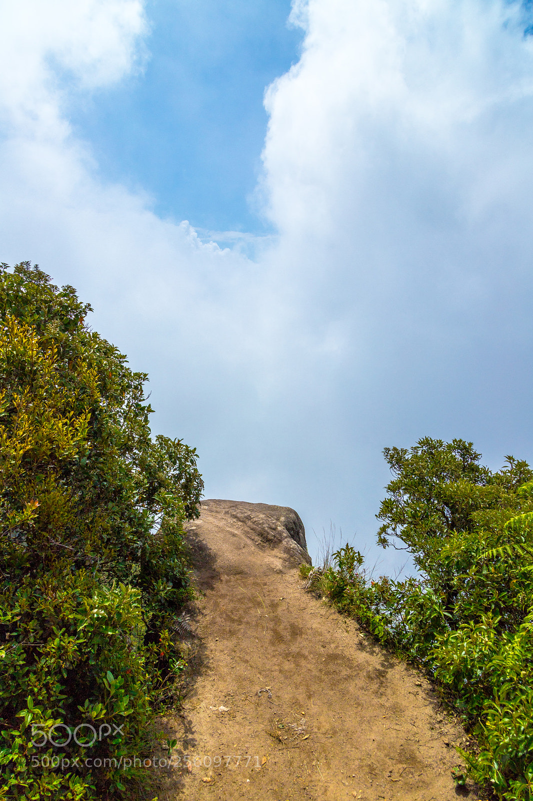 Canon EOS 6D Mark II sample photo. Untitled photography