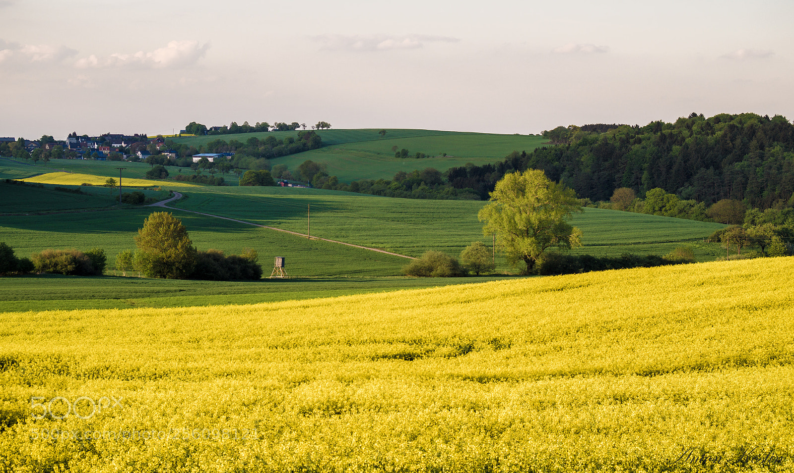 Sony SLT-A58 sample photo. Country photography