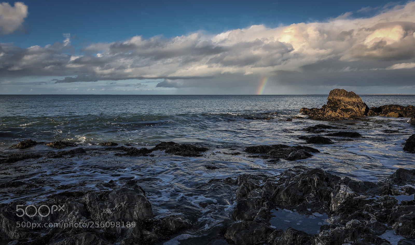 Nikon D750 sample photo. Par hasard... photography