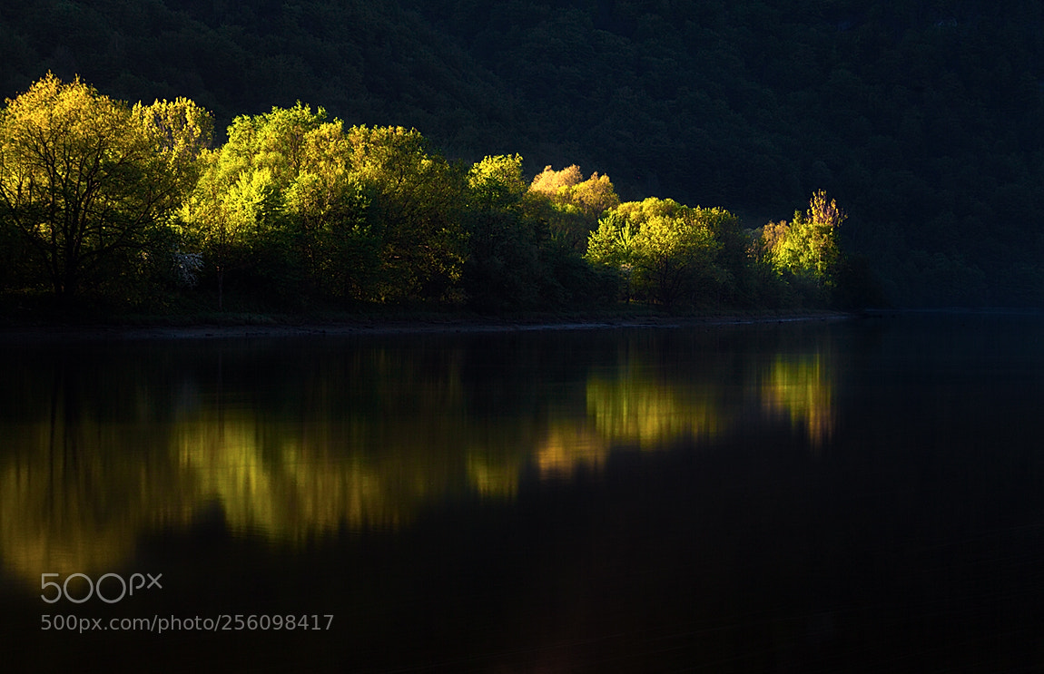 Canon EOS 5D Mark II sample photo. First sunrays photography