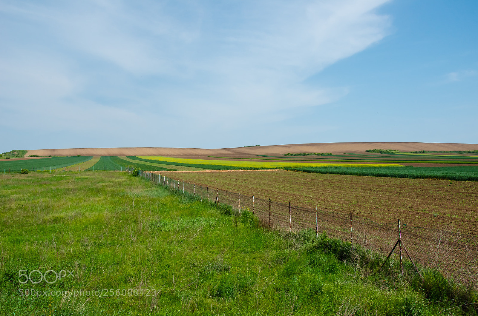 Nikon D7000 sample photo. Vojvodina photography