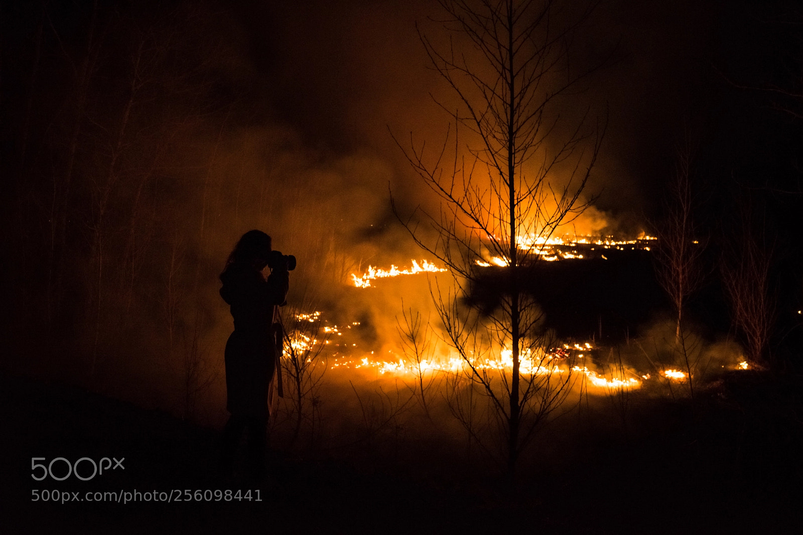 Sony a7 II sample photo. Fire in the field photography