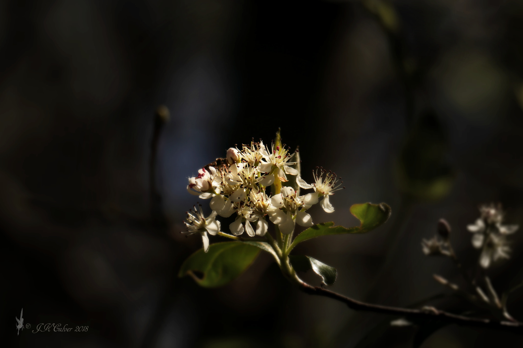 Canon EOS 77D (EOS 9000D / EOS 770D) sample photo. Basking in the sunshine photography