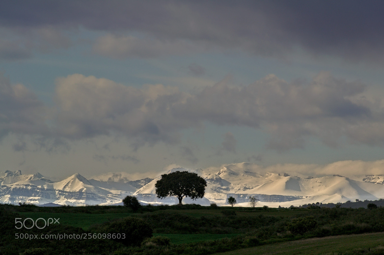 Nikon D3100 sample photo. Litera - sobrarbe photography