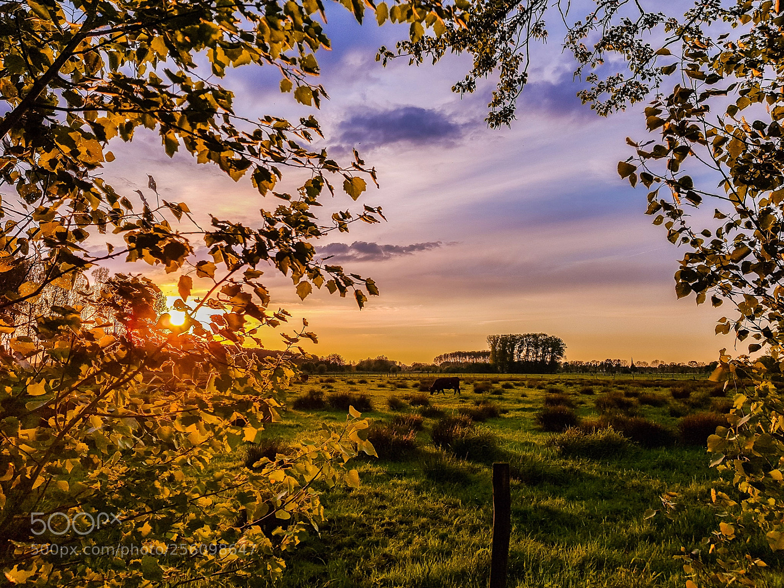 Samsung Galaxy S8 sample photo. Setting sun over farmlands photography