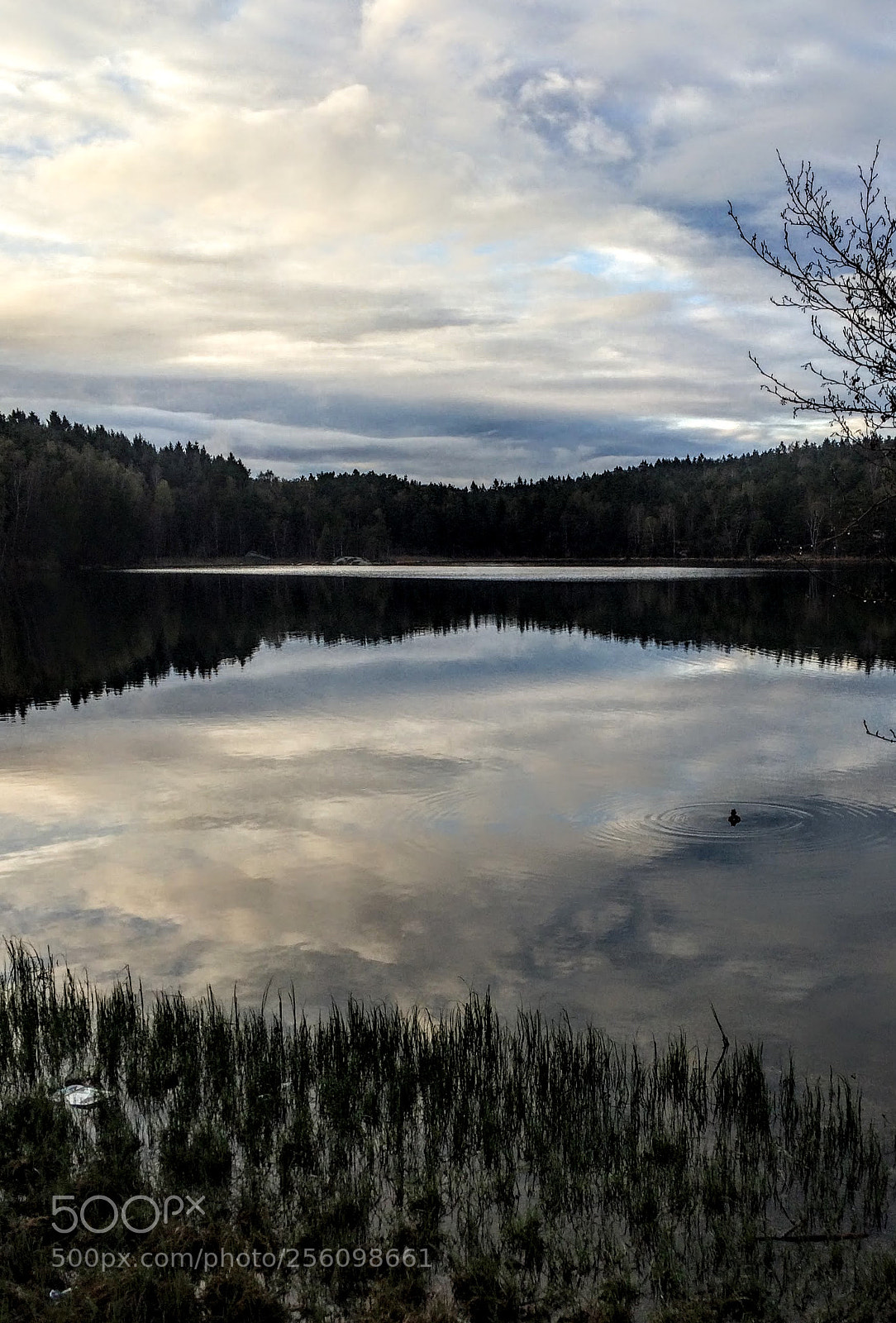 Apple iPhone 5s sample photo. Night dip photography