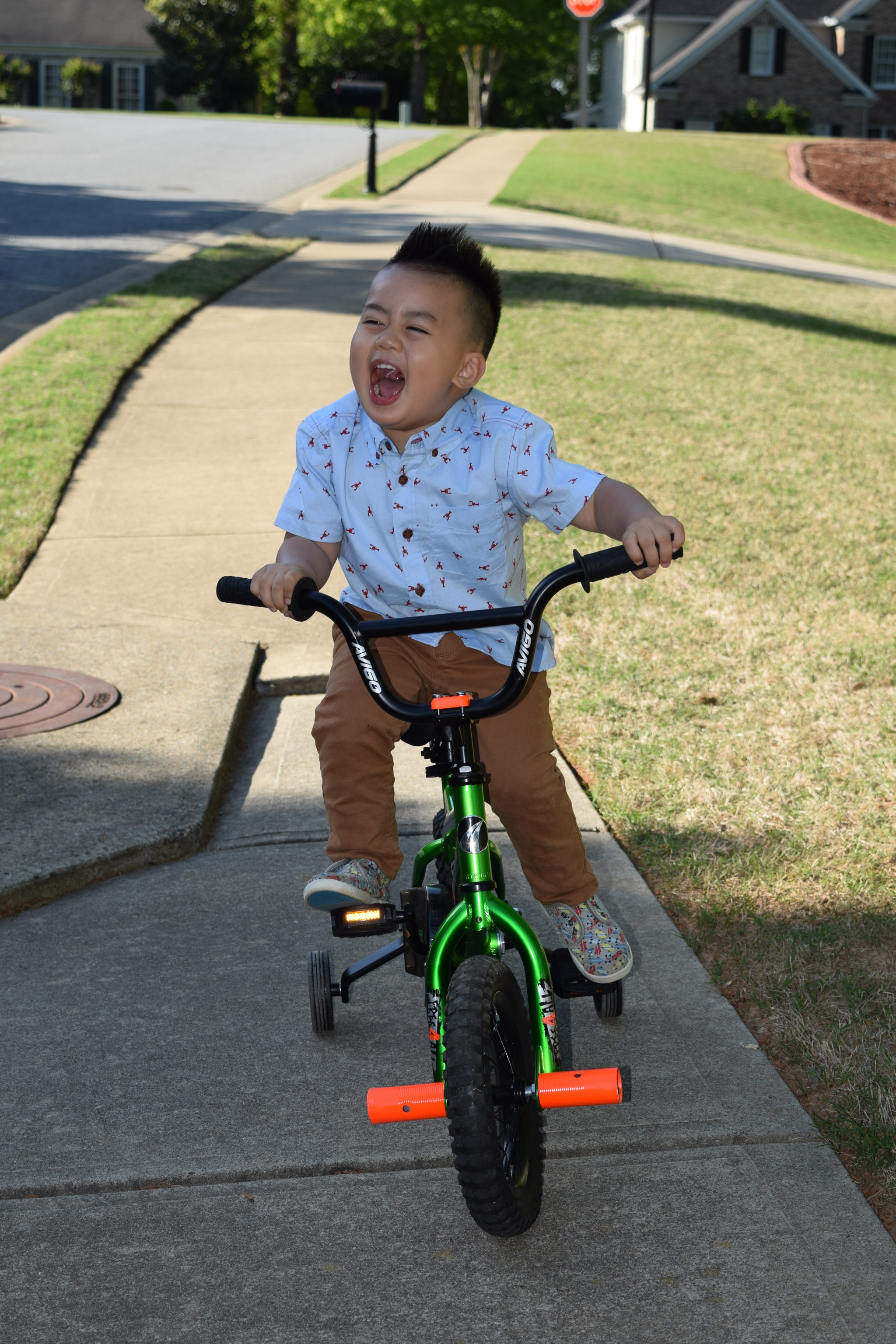 Nikon D5300 sample photo. Liam dang photography