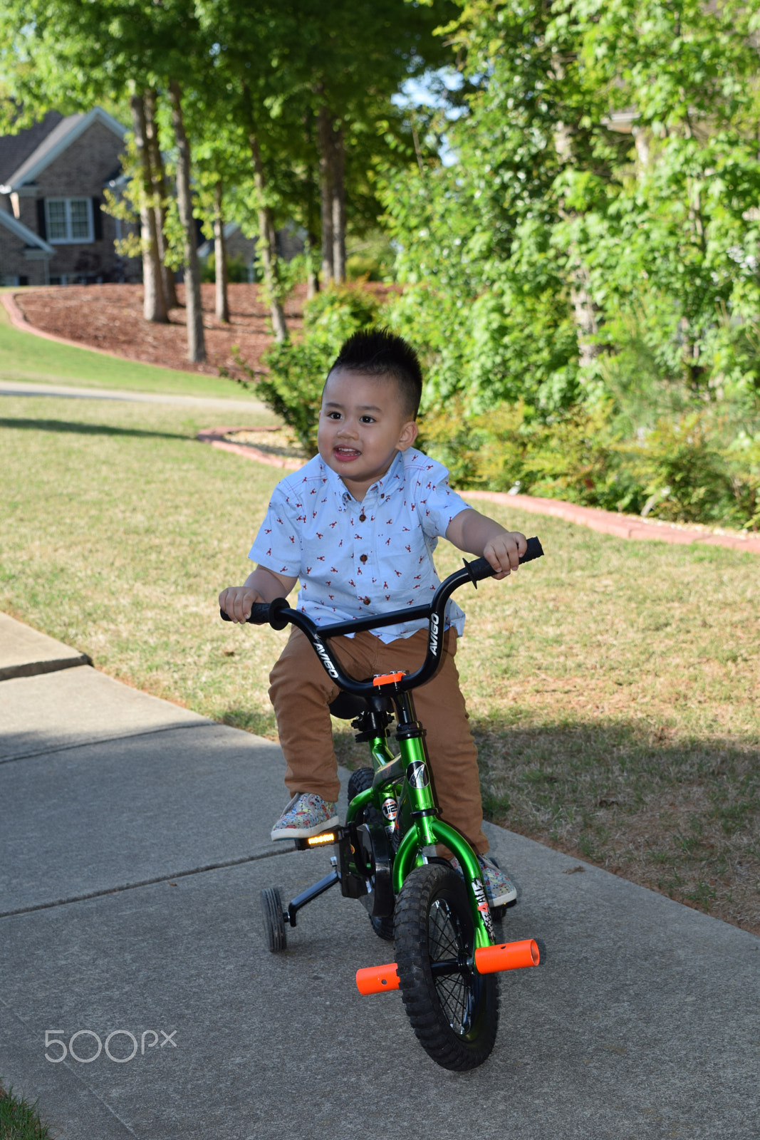 Nikon D5300 sample photo. Liam dang photography