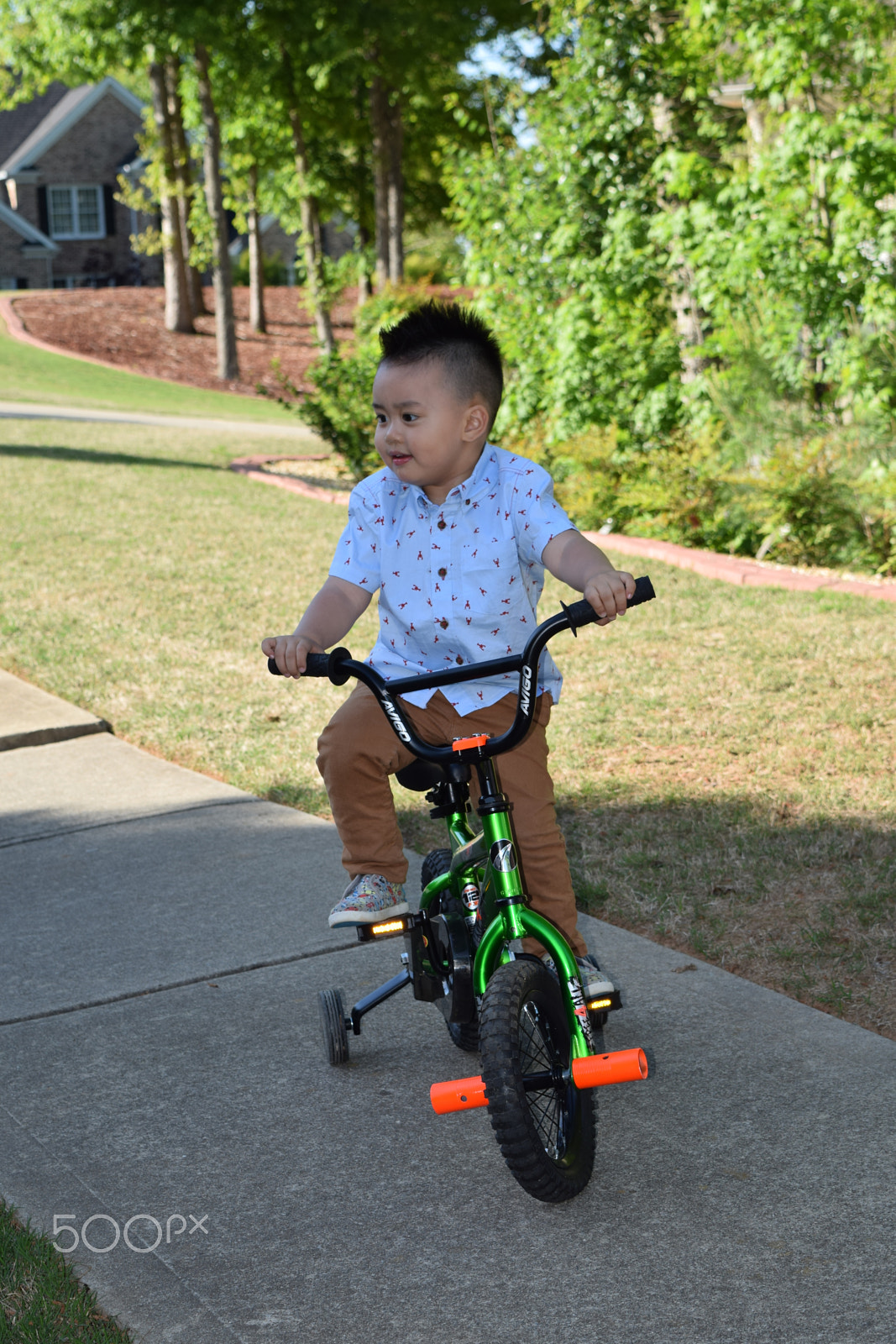 Nikon D5300 sample photo. Liam dang photography