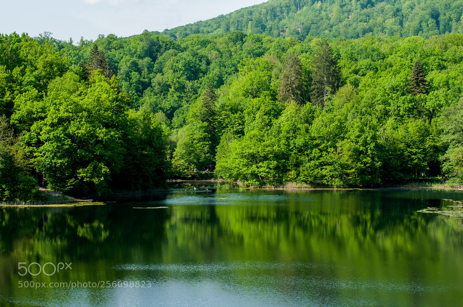 Nikon D90 sample photo. Bear's lake photography