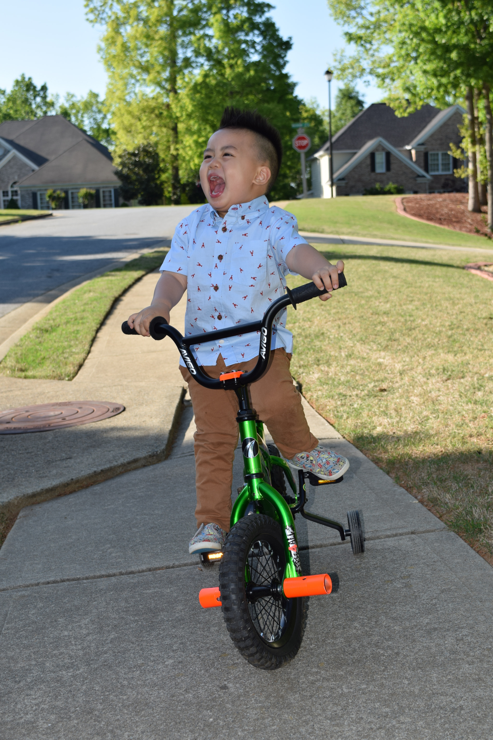 Nikon D5300 sample photo. Liam dang photography