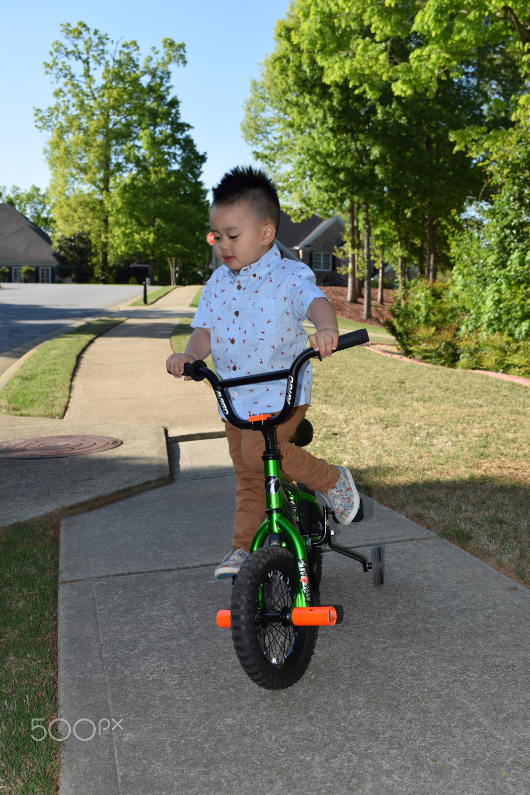 Nikon D5300 sample photo. Liam dang photography